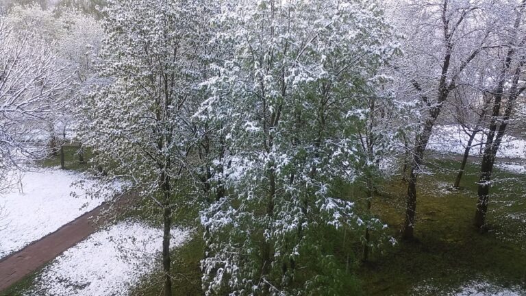Klimatologai tvirtina, kad kone vasaros išvakarėse nagus parodžiusi žiema nėra naujas reiškinys Lietuvoje, tokių atvejų per keturis dešimtmečius būta kelių.