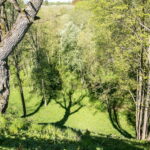 Iš trijų pusių Liaudės upės apsuptas, iš šiaurės pylimo saugomas, stačiais šlaitais įrėmintas Bakainių piliakalnis su savo pylimais, priešpiliu ir papiliu vienu žvilgsniu neaprėpiamas. T. ŠIAUDINIO nuotraukos