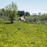 Iš trijų pusių Liaudės upės apsuptas, iš šiaurės pylimo saugomas, stačiais šlaitais įrėmintas Bakainių piliakalnis su savo pylimais, priešpiliu ir papiliu vienu žvilgsniu neaprėpiamas. T. ŠIAUDINIO nuotraukos