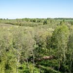 Iš trijų pusių Liaudės upės apsuptas, iš šiaurės pylimo saugomas, stačiais šlaitais įrėmintas Bakainių piliakalnis su savo pylimais, priešpiliu ir papiliu vienu žvilgsniu neaprėpiamas. T. ŠIAUDINIO nuotraukos