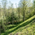 Iš trijų pusių Liaudės upės apsuptas, iš šiaurės pylimo saugomas, stačiais šlaitais įrėmintas Bakainių piliakalnis su savo pylimais, priešpiliu ir papiliu vienu žvilgsniu neaprėpiamas. T. ŠIAUDINIO nuotraukos