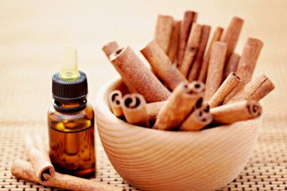 Moksliniai tyrimai įrodė, kad cinamono pagrindu sukurtame aliejuje yra labai veiksmingų vaistinių medžiagų.