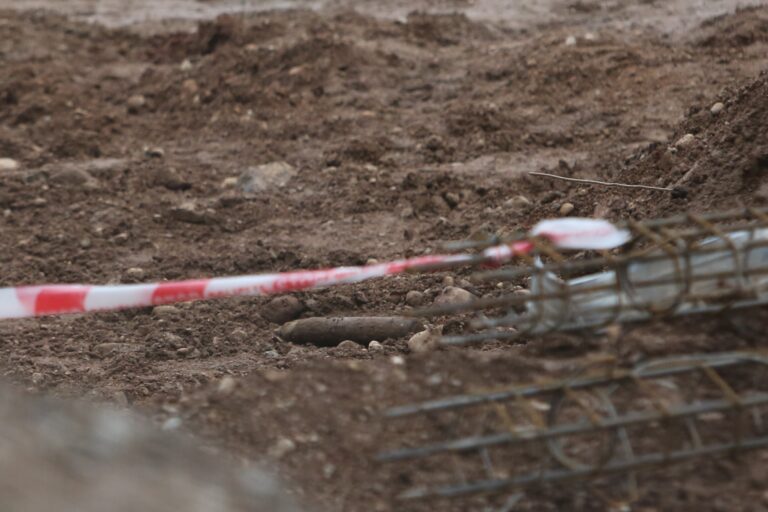 Lietuvoje įprasta daržovių derlių nuimti tik rudenį, tačiau ir pavasarį darže galima rasti įspūdingų radinių.
