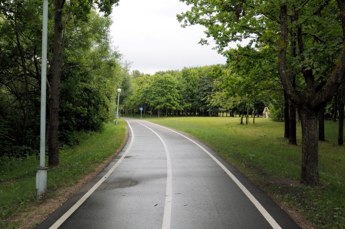 Alkoholis praėjusį savaitgalį išlaisvino tiek vyrų agresiją, tiek drąsą.