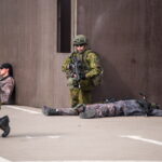 Kariuomenės ir visuomenės vienybės diena. T. ŠIAUDINIO nuotraukos