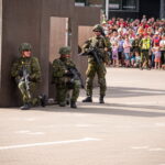 Kariuomenės ir visuomenės vienybės diena. T. ŠIAUDINIO nuotraukos