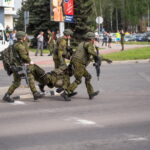 Kariuomenės ir visuomenės vienybės diena. T. ŠIAUDINIO nuotraukos