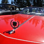 „Mes važiuojame 2017“ Pasvalyje. M. BLINSTRUBYTĖS nuotr.