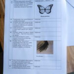 Muziejų naktis Panevėžyje. T. ŠIAUDINIO nuotraukos