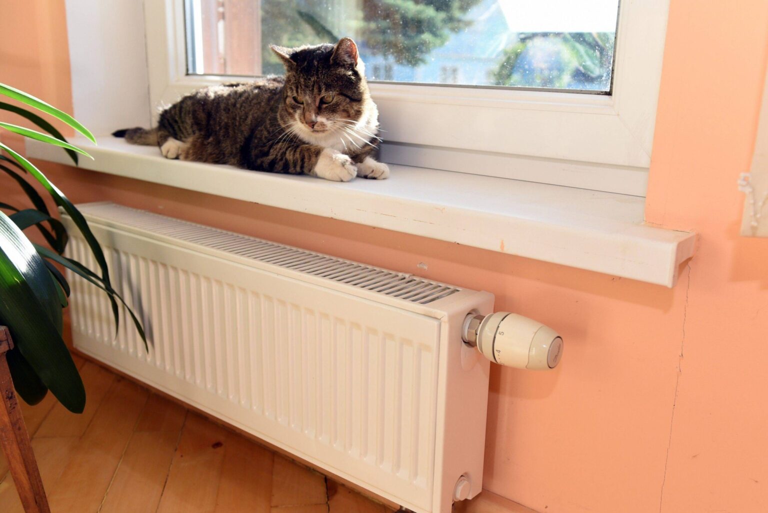 Didiesiems Lietuvos miestams pabaigus užsitęsusį šildymo sezoną, šilumos nebenori ir Panevėžio gyventojai bei biudžetinės įstaigos.