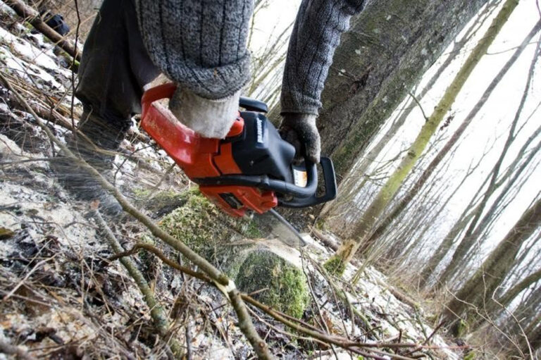 Dažniausiai negyvenamosiose sodybose ilgapirščiai braunasi į sandėliukus ir ieško sodo technikos ar kitų rakandų.