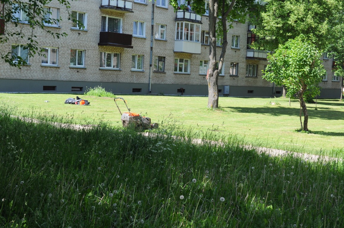 Panevėžyje įsibėgėja šienavimo darbai. Kai kurie miesto žalieji plotai pjaunami jau ketvirtą kartą.