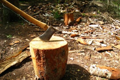 Rokiškio rajone neblaivus vyras kirviu sužalojo du žmones.