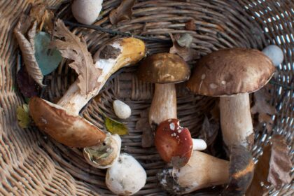 65-erių moteris mirė sekmadienį, ligoninės reanimacijos skyriuje ji buvo gydyta apie savaitę.