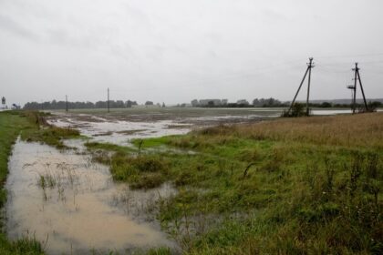 Preliminarūs žemdirbių nuostoliai dėl liūčių gali siekti apie 40 mln. eurų. Todėl jau kitos savaitės pradžioje visoje šalyje bus paskelbta ekstremali padėtis.
