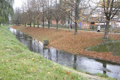 Paryžietiškas ruduo erzina panevėžiečius