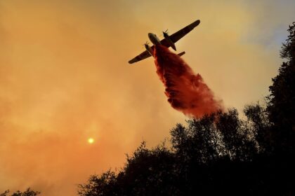 Kalifornijoje siaučiant milžiniškiems miškų ir krūmynų gaisrams, žuvusiųjų skaičius vis didėja – rasti 31 žmogaus palaikai, tačiau aukų gali būti daugiau.