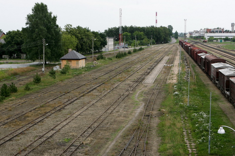 Idėja Panevėžyje įkurti centrines Europos garvežių remonto dirbtuves sudomino ir Didžiosios Britanijos, Lenkijos siaurųjų geležinkelių atstovus. A. REPŠIO nuotr.