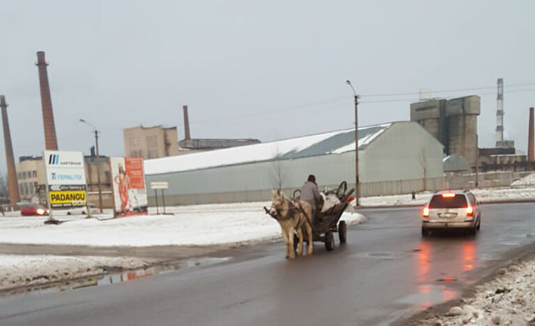 Socialinio tinklo žvaigžde dieną tapęs vadeliotojas, per Panevėžį vežęs metalo laužą, vakare, dar nespėjęs sugrįžti namo, buvo nubaustas policijos pareigūnų.