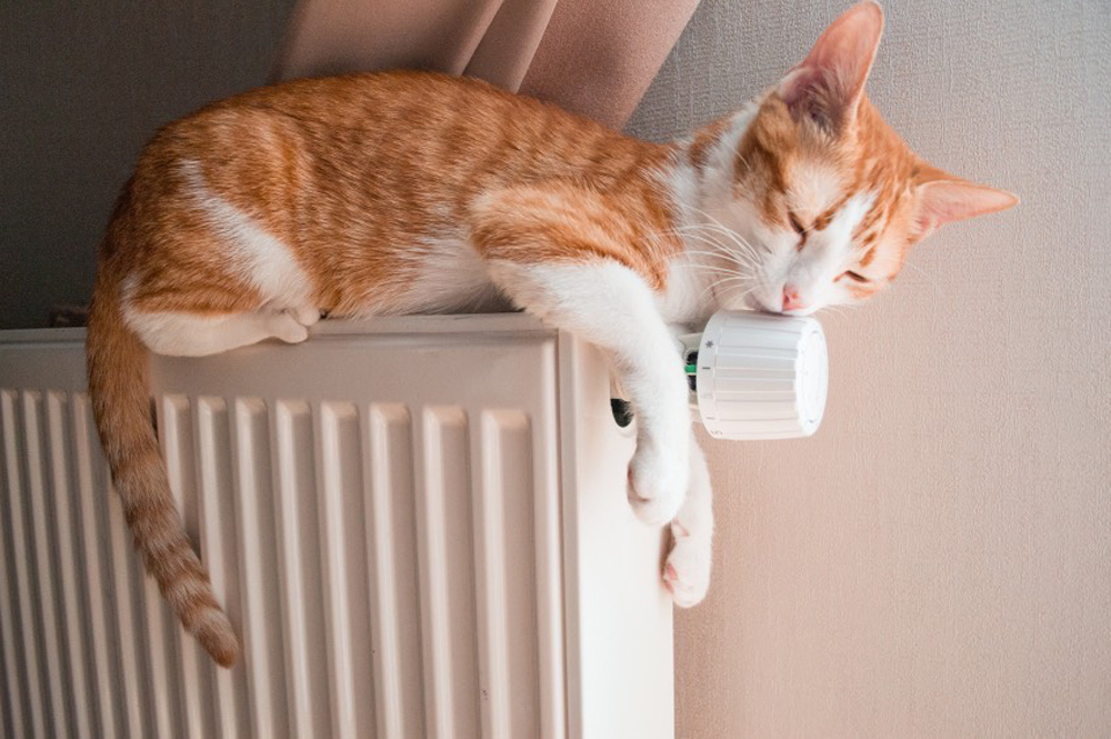 Seimas apsispręs dėl 9 proc. pridėtinės vertės mokesčio (PVM) centralizuotam šildymui – lengvatinį tarifą siūloma taikyti neterminuotai