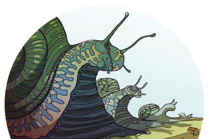 Kai pažiūri per monitorius, kas darosi Meksikos įlankos ir Karibų jūros pakrantėse, gali susidaryti klaidingas įspūdis, kad pas mus nieko nevyksta.