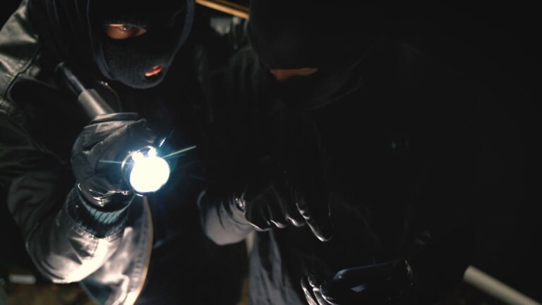 Šeštadienį vagišiai susiviliojo keistoku grobiu, o vienu atveju vagystė labiau panašėjo į vandalizmo atvejį.