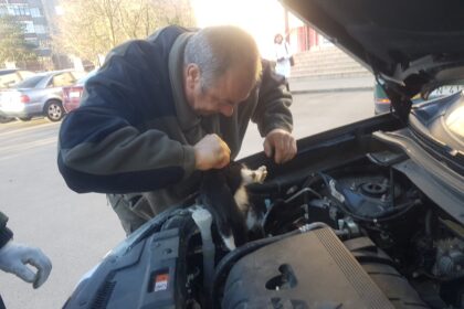 Atėjus šaltajam metų laikui ir paspaudus šaltukui aplinkosaugininkai sulaukia nemažai skambučių dėl pastebėtų įšalusių gulbių ar nusilpusių ir negalinčių pasirūpinti savimi stirnų.
