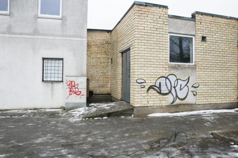 Grafiti piešiniais išdailintos įvairios miesto vietos vienus verčia žavėtis, kitus – piktintis.