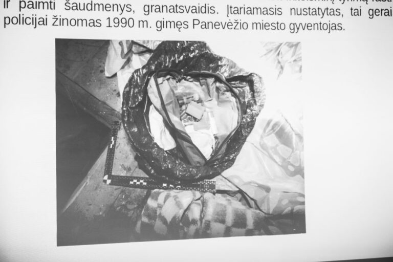 Vagystes tirdami Panevėžio apskrities vyriausiojo policijos komisariato pareigūnai išvyniojo didesnių nusikaltimų kamuolį.