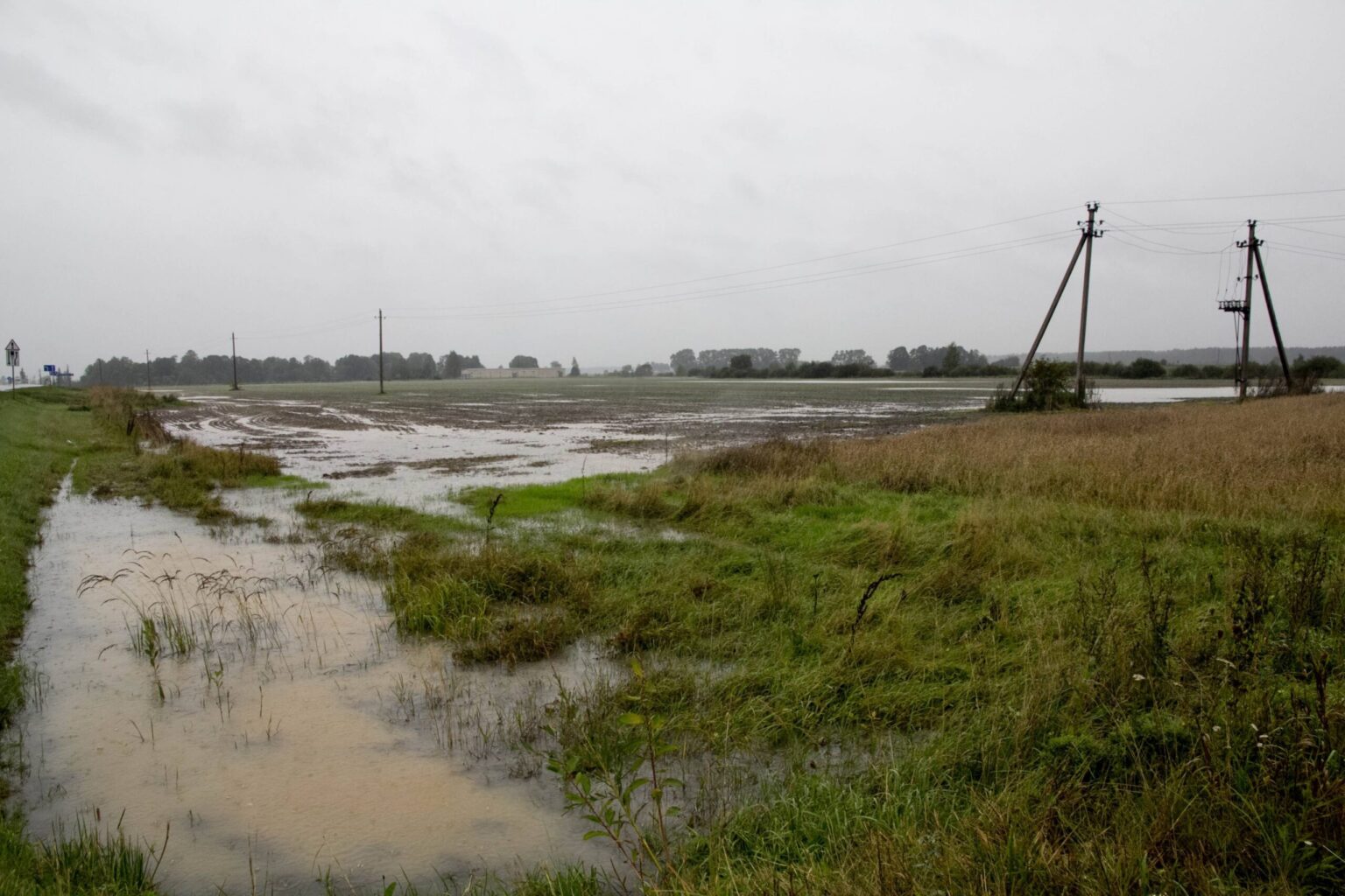 Prasidėjus naujiems metams, ūkininkai rengiasi ateinančiam sezonui, tačiau jau dabar aišku, kad metai nebus lengvi. Tam įtakos turės dar pernykštės liūtys.