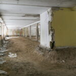 V. BULAIČIO nuotraukos