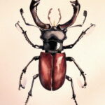 ASMENINIO ARCHYVO nuotraukos