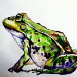 ASMENINIO ARCHYVO nuotraukos