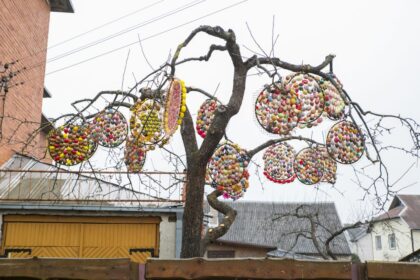 Artėjant gražiausiai pavasario šventei – Velykoms – gyventojai skuba ne tik tvarkytis, bet ir gražinti aplinką. Jau ne pirmus metus puoselėjama tradicija – puošti Velykų medį – pritraukia vis daugiau entuziastų.