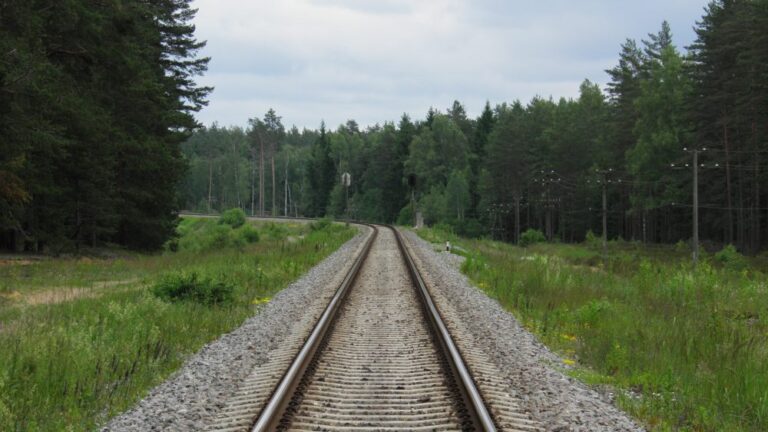 Tęsiant „Rail Baltica“ geležinkelio projektavimą paskelbtas atkarpos nuo Ramygalos iki Lietuvos-Latvijos sienos projektavimo ir projekto vykdymo priežiūros konkursas.