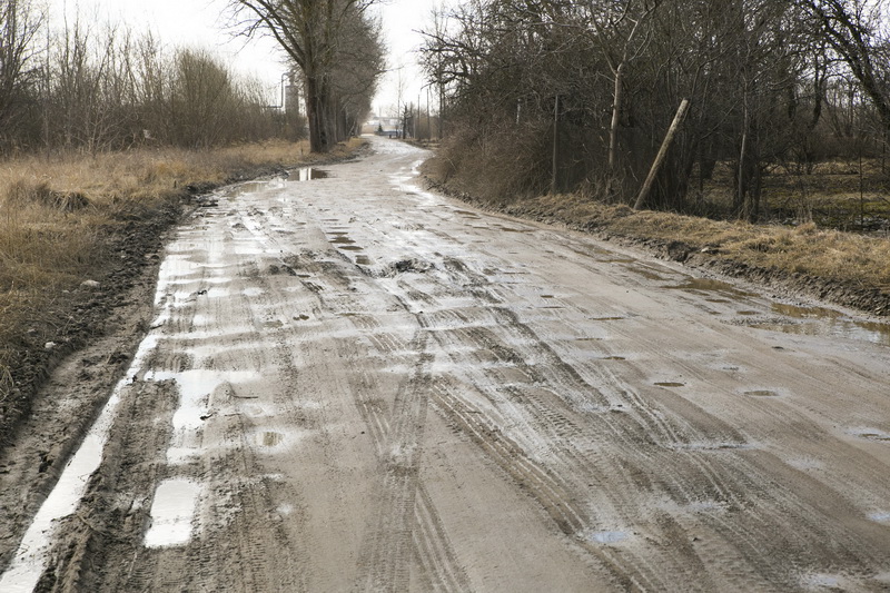Atšilus orams, į kolektyvinius sodus plūstelėjo sodininkai, tačiau Rėklių gatvė, vedanti į „Pušelės“, „Užuovėjos“ ir „Vyšnios“ sodus, – sunkiai įveikiama kliūtis. V. BULAIČIO nuotr.