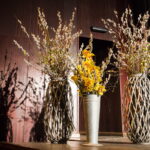 V. BULAIČIO nuotraukos