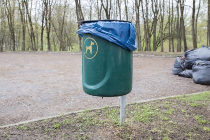 Gyvūnų laikymo taisyklės Panevėžio mieste draudžia šunis vedžioti švietimo įstaigų teritorijose, visgi Vilties progimnazija ir Panevėžio muzikos mokykla tapo labai patogios keturkojų augintojams. Negana to, šių įstaigų darbuotojai kas rytą priversti surinkti tokių pasivaikščiojimų „įkalčius“.