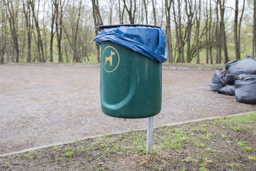 Gyvūnų laikymo taisyklės Panevėžio mieste draudžia šunis vedžioti švietimo įstaigų teritorijose, visgi Vilties progimnazija ir Panevėžio muzikos mokykla tapo labai patogios keturkojų augintojams. Negana to, šių įstaigų darbuotojai kas rytą priversti surinkti tokių pasivaikščiojimų „įkalčius“.