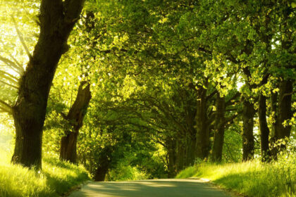 Gegužės mėnesio pabaiga žada toliau lepinti saulėtais ir jaukiais orais. Šią savaitę žymesnio lietaus nenumatoma, bus vasariškai šilta.