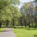 V. BULAIČIO nuotraukos