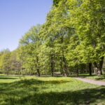 V. BULAIČIO nuotraukos