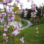 V. BULAIČIO nuotraukos