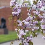 V. BULAIČIO nuotraukos