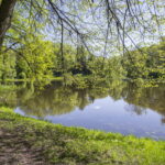 V. BULAIČIO nuotraukos