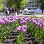 V. BULAIČIO nuotraukos