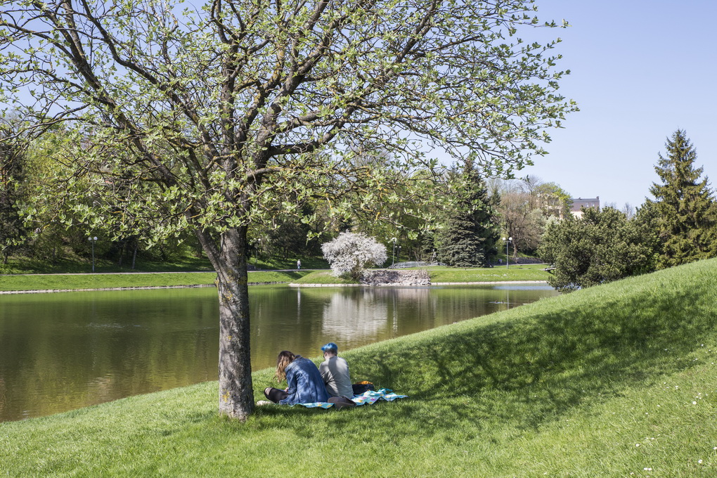 Artimiausios naktys dar bus vėsokos, vietomis net šalna nubalins dirvos paviršių. Tačiau dienomis vyraus maloni pavasariška šiluma, pūs gaivus vėjas.