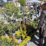 V. BULAIČIO nuotraukos