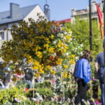 V. BULAIČIO nuotraukos