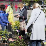 V. BULAIČIO nuotraukos